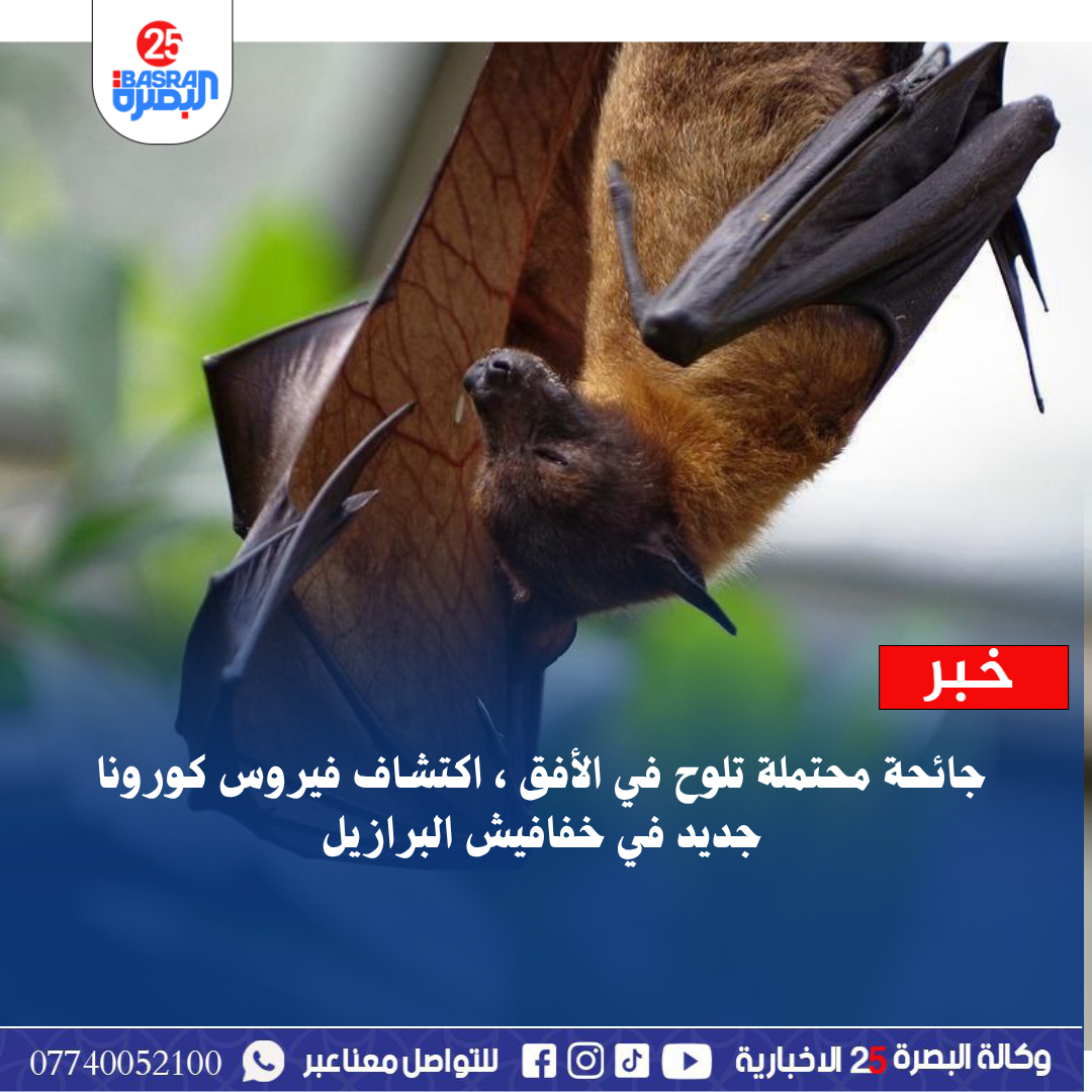 جائحة محتملة تلوح في الأفق ، اكتشاف فيروس كورونا جديد في خفافيش البرازيل