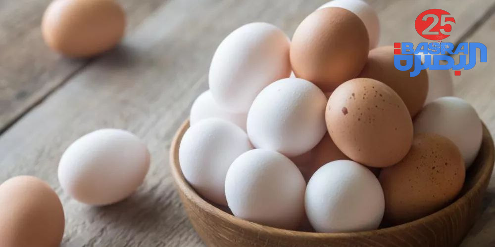 العراق يعلن تحقيق الاكتفاء الذاتي من بيض المائدة