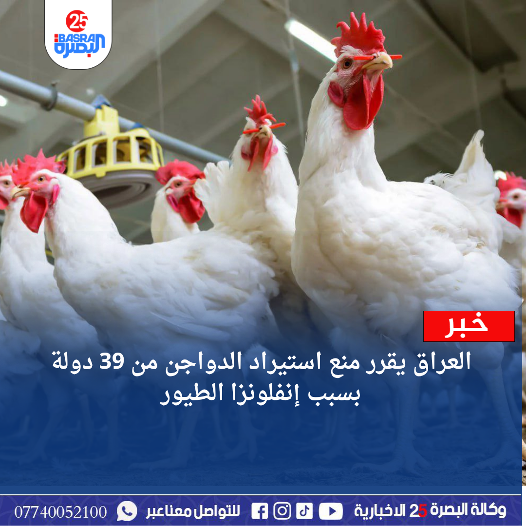 العراق يقرر منع استيراد الدواجن من 39 دولة بسبب إنفلونزا الطيور